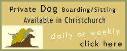 Dog sitting, boarding